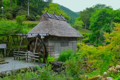 兎おいし　①。。。！