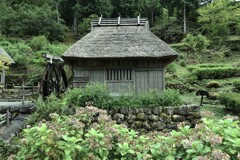 兎おいし　④。。。！