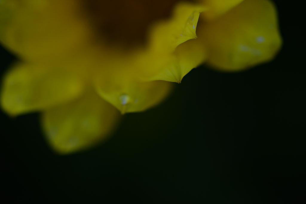 忍び泣き　➂。。。！