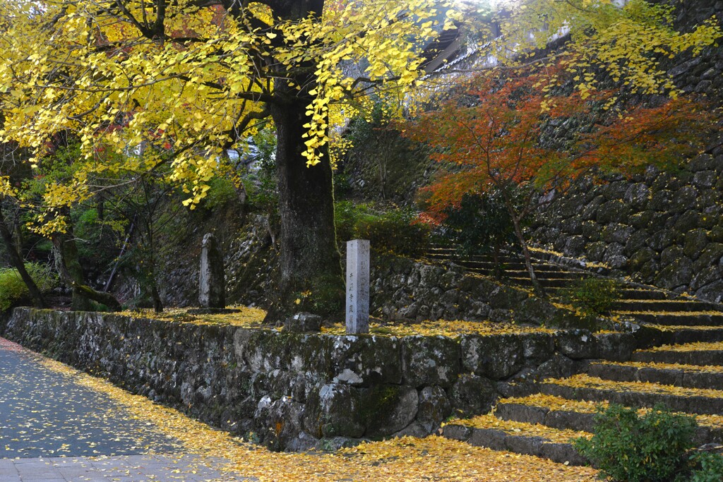 酒蔵の秋　⑥。。。！