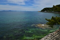 岬めぐり　⑤。。。！