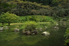 雨上がりの庭園　①。。。！