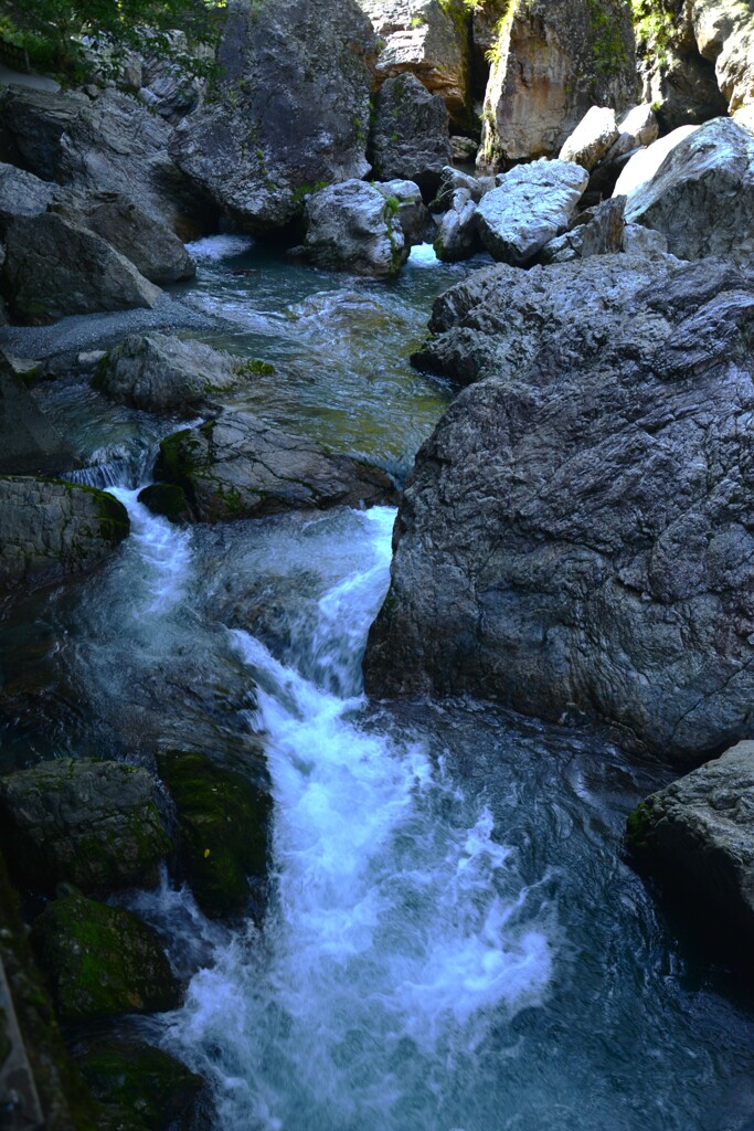 涼を求めて　⑤。。。！