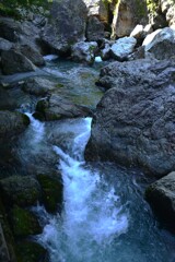 涼を求めて　⑤。。。！