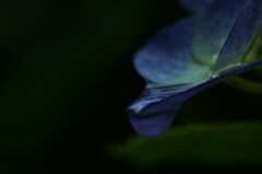 雨粒のシンフォニー　②。。。！