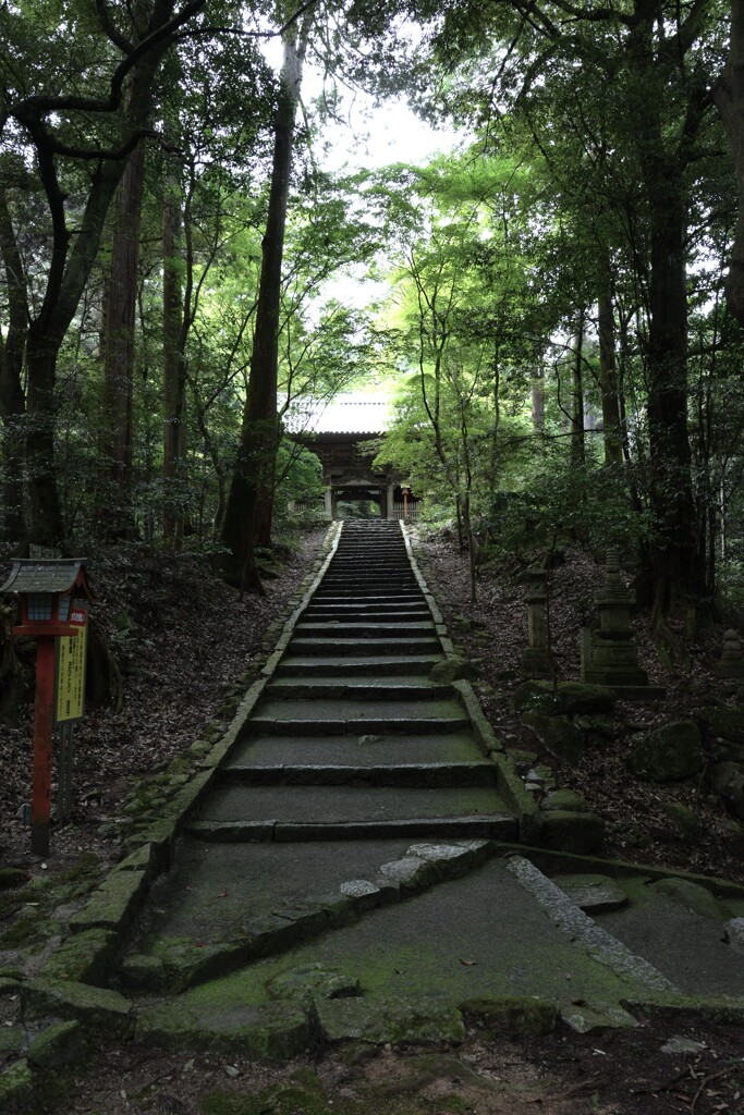 初秋の西山興隆寺　①。。。！