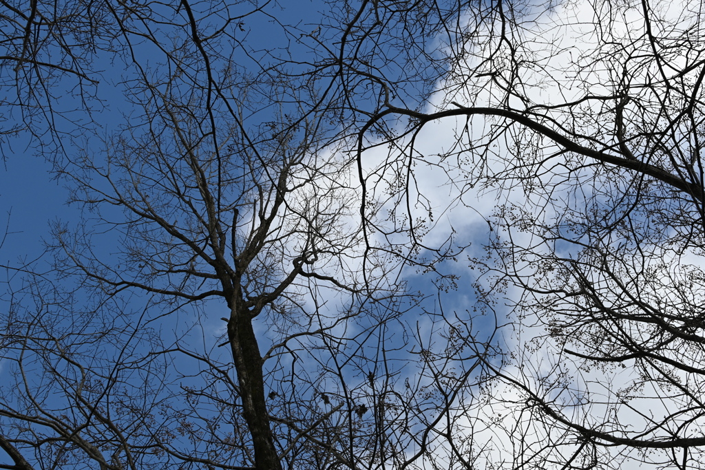 束の間澄み渡り　。。。！