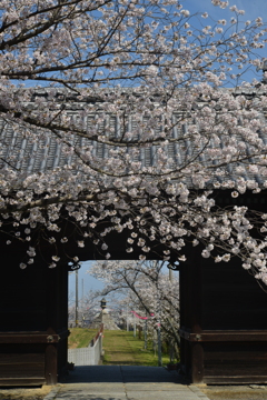 久妙寺．．贈る言葉　⑥。。。！