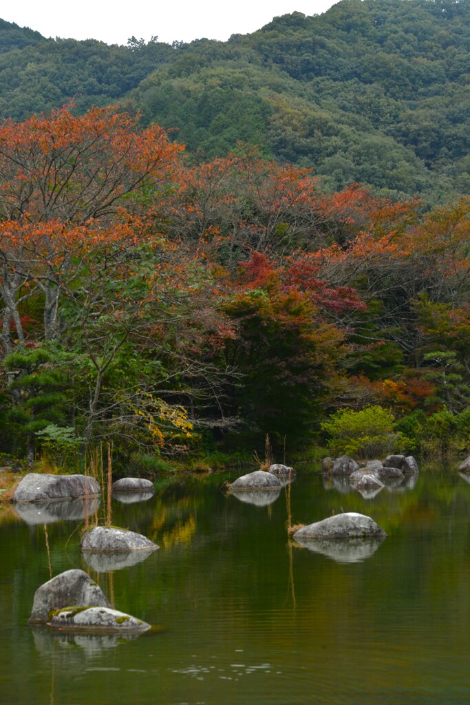 秋めく山里の庭園　➂。。。！
