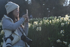 カメラ女子と水仙の丘　➂。。。！