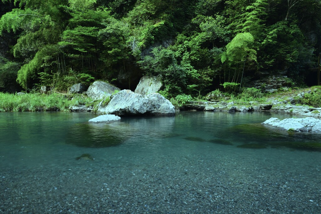 涼を求めて　⑦。。。！