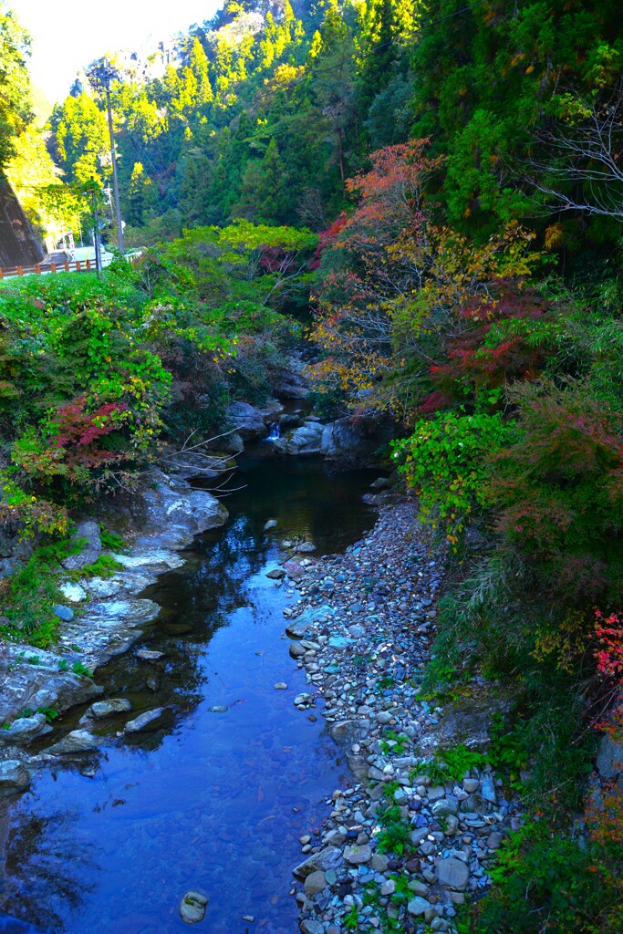 autumn gate ➂。。。！