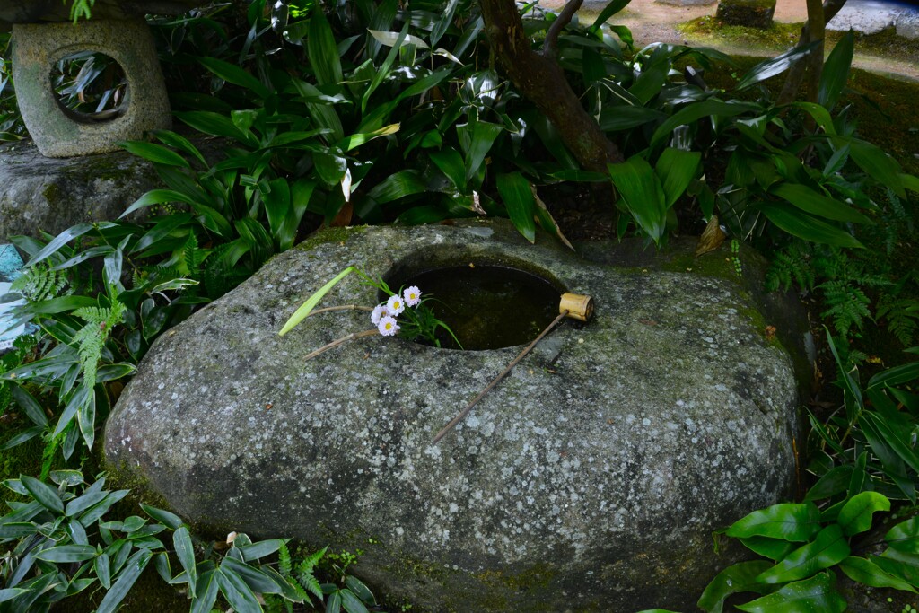 臥龍山荘の手水鉢　②。。。！