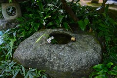 臥龍山荘の手水鉢　②。。。！
