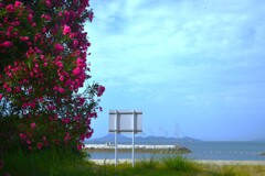 海辺のcafeteria　①。。。！
