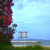 海辺のcafeteria　①。。。！