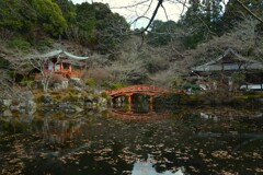 静かに春を待つ　➂。。。！