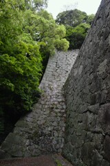 古城の新緑　⑤。。。！