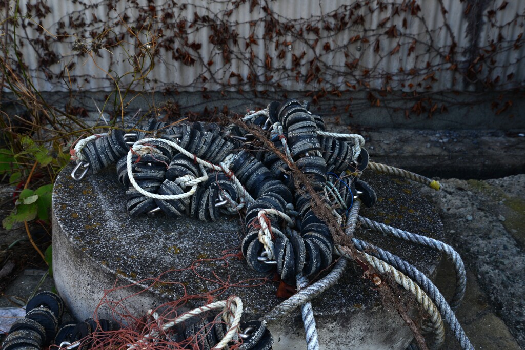 秋暮れの上灘漁港　④。。。！