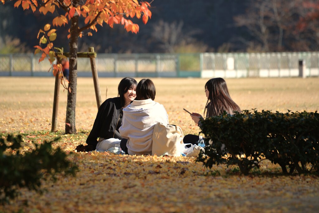 秋の日はなかよし　④。。。！