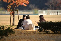 秋の日はなかよし　④。。。！