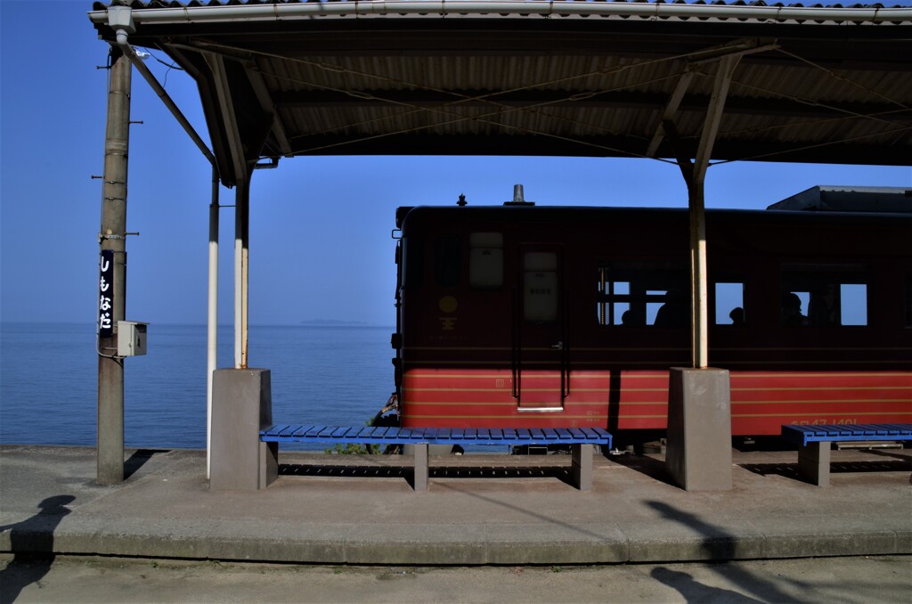 春の観光列車　②。。。！