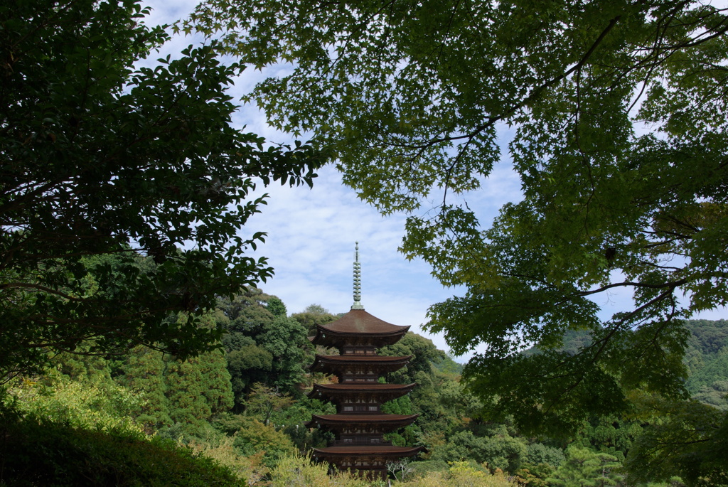 樹林にたたずむ。。。！