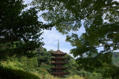 樹林にたたずむ。。。！
