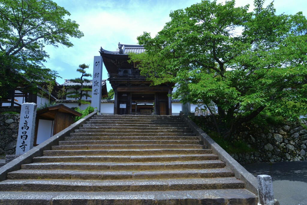 初夏の山寺　⑦。。。！