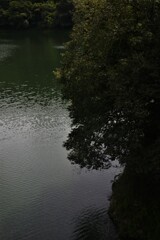 緑の風景　①。。。！