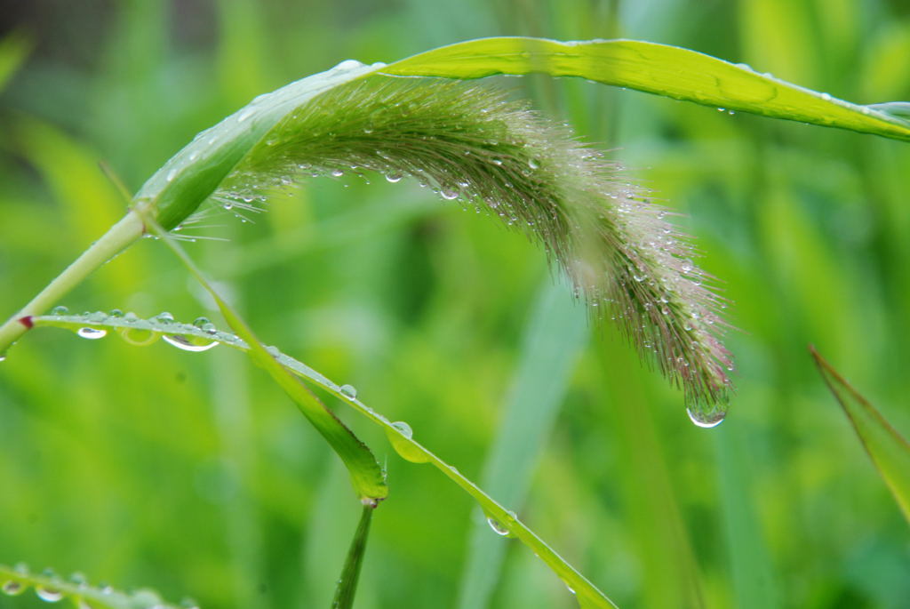 震えるほどの悲しみと。。。！