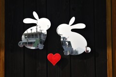 大久野島・・平和の使者　⑥。。。！
