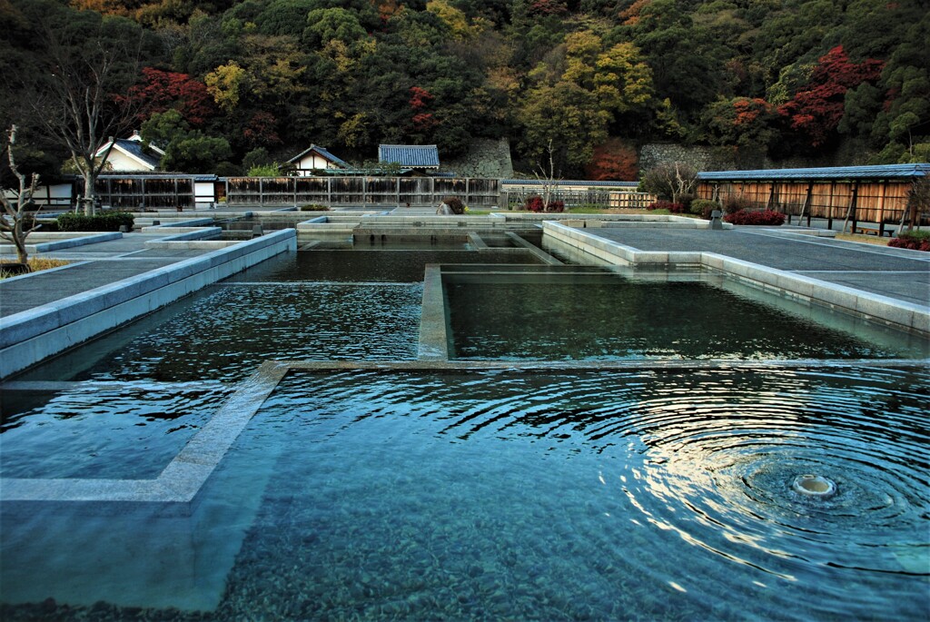 水々しい公園。。。！