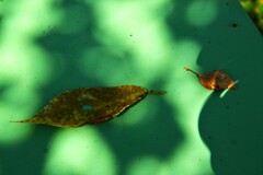 熱い風の公園　➂。。。！