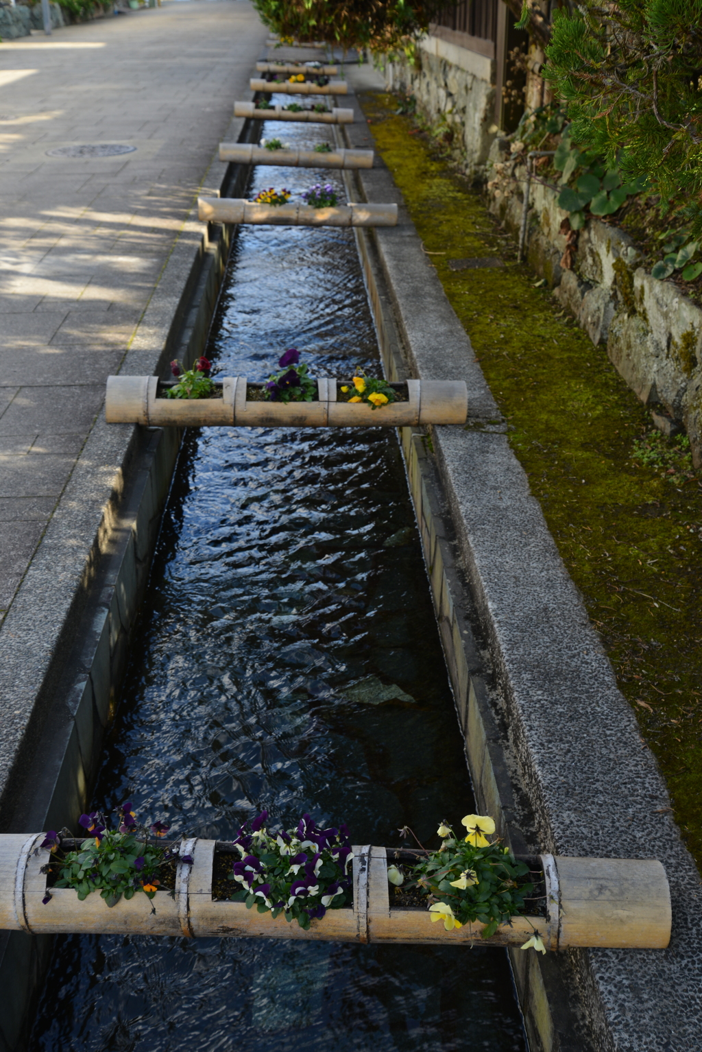 早春の大洲　⑤。。。！