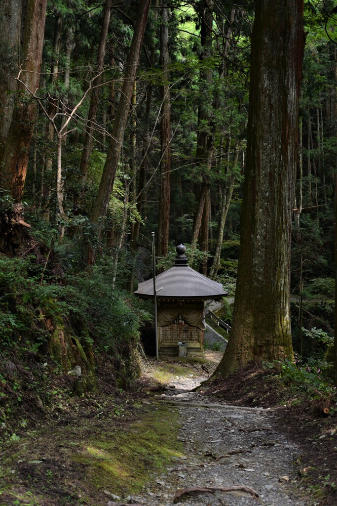 深山の大宝寺　①。。。！