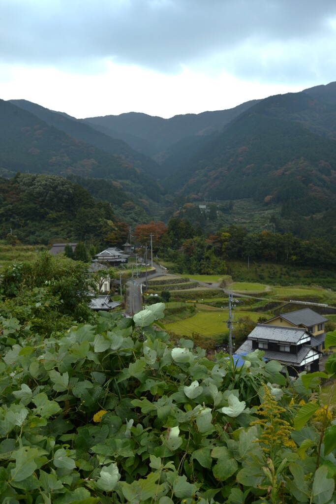 山里の秋深まる　➂。。。！