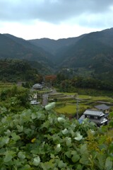 山里の秋深まる　➂。。。！