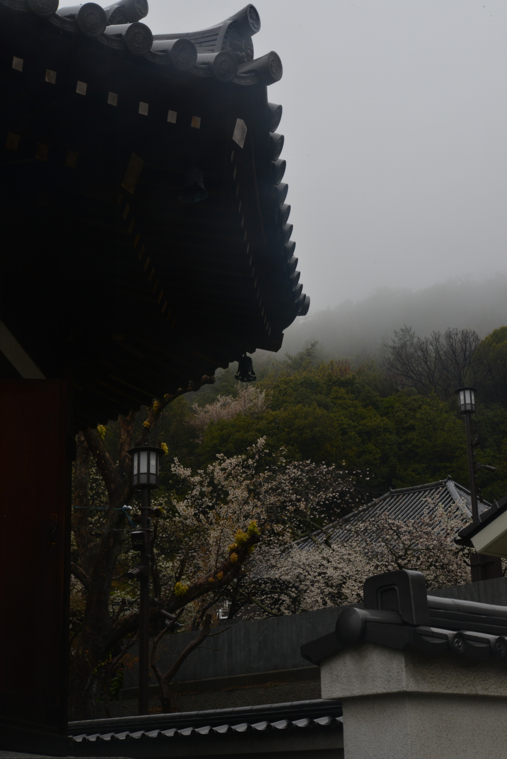 雨の大宝寺　①。。。！