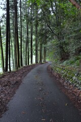 五月雨の山寺　⑤。。。！