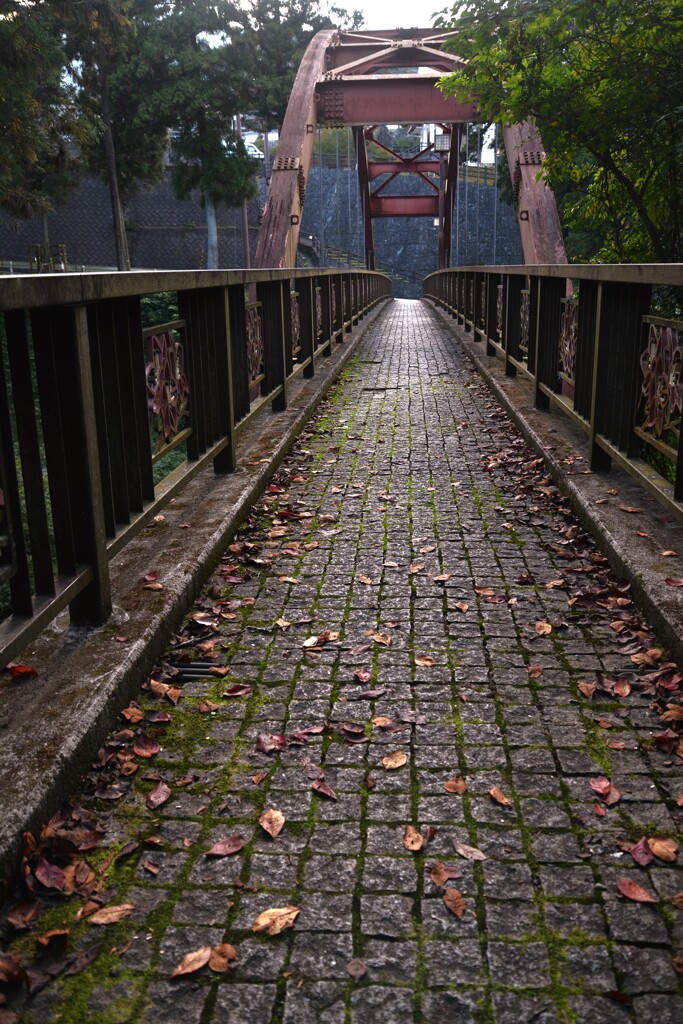 秋の小径　②。。。！