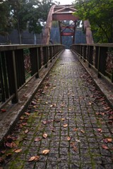 秋の小径　②。。。！