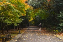 秋色さんぽ道　①。。。！