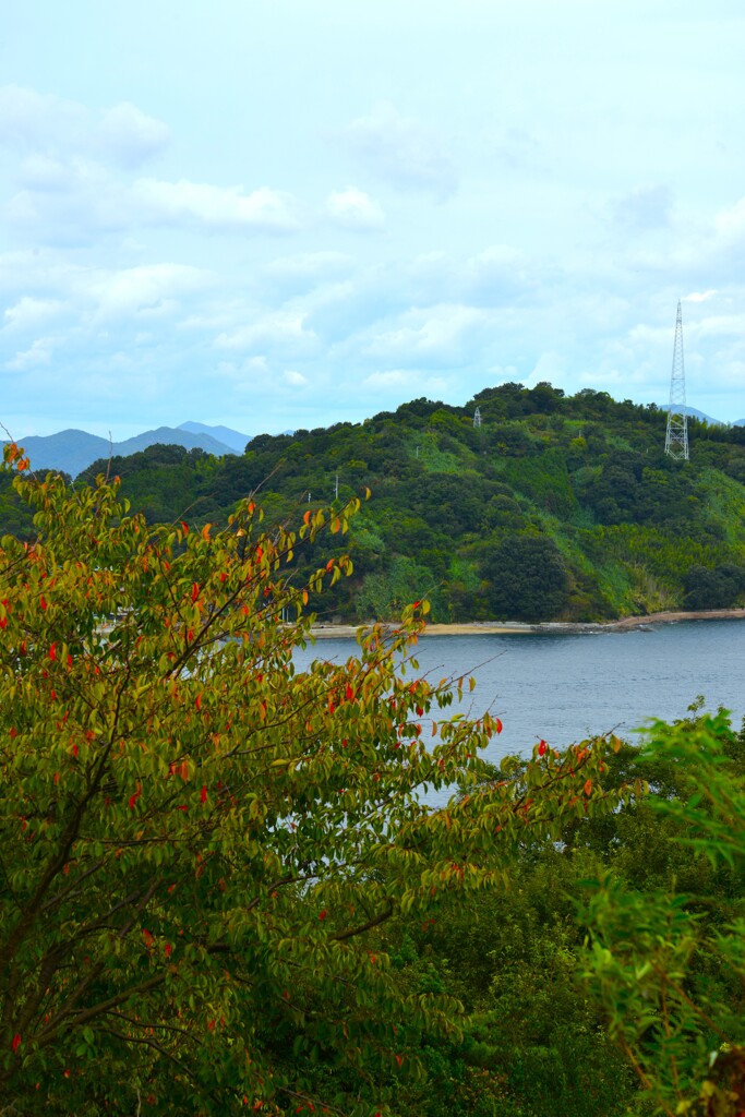 海峡に秋香り　①。。。！