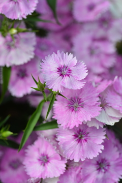 優しさの理由。。。！