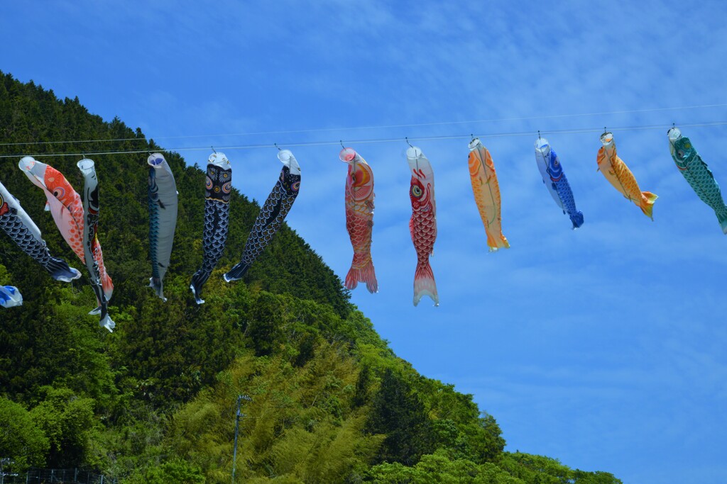 山村に泳ぐ。。。！