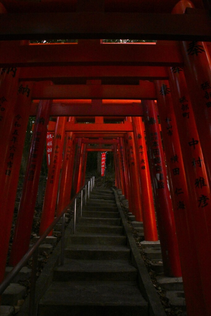 摩訶不思議の世界　①。。。！