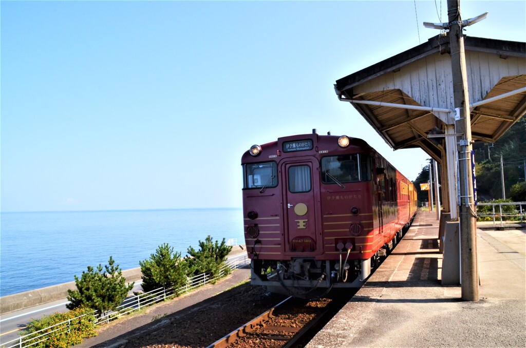 春の観光列車　①。。。！
