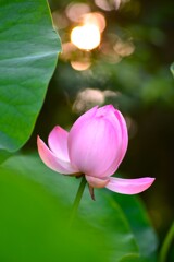 この季節も過ぎてゆく　➂。。。！