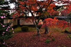 錦絵の古都【等持院編】　①